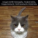 ���� ������, ���������, 59 ��� - ��������� 24 ������� 2015 � ������ ������ ��������