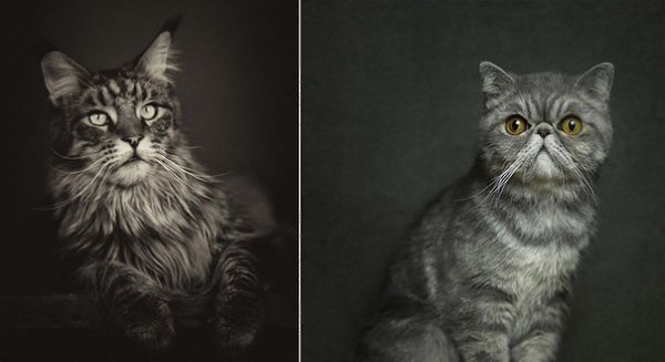 Бельгийский фотограф Винсент Лагрнаж (Vincent Lagrange) в основном специализируется на ... - 6