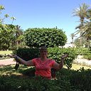 ���� �������, ������, 46 ��� - ��������� 6 ������ 2015 � ������ ���� ����������