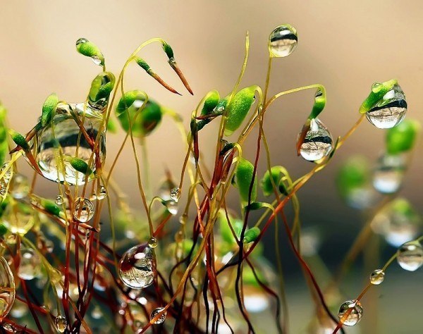 ,      ,        . ... - 4