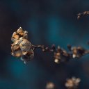 ���� ���������, ��������, 34 ���� - ��������� 8 ������ 2015 � ������ ����� 2�