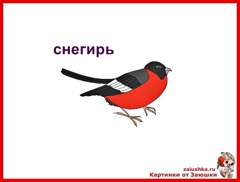  -  .     -  - , , , ... - 6