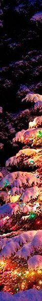  |  | - - 3  2015  19:04 - 2