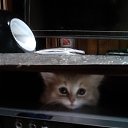 ���� ��������, ������, 61 ��� - ��������� 3 ����� 2015 � ������ �RoadKing�