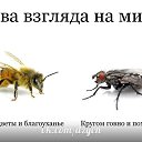 ���� ������, ������ - ��������� 3 ������� 2015 � ������ ������ ��������