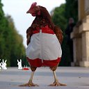 ���� ������ �������, �������, 67 ��� - ��������� 19 ������ 2015 � ������ ������ ����� � ���� .�