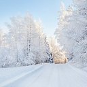 ���� �����, �������, 47 ��� - ��������� 17 ����� 2015 � ������ ������ ��������