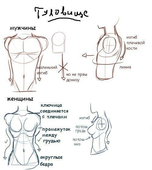    - 6