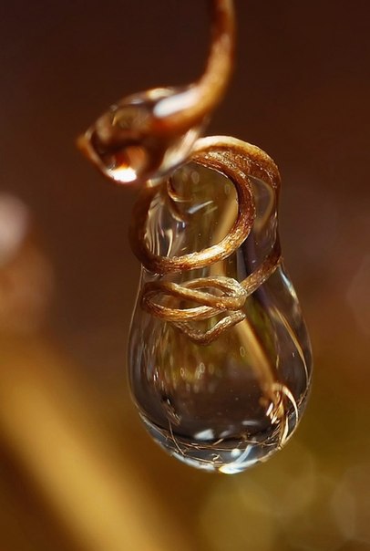 ,      ,        . ... - 5