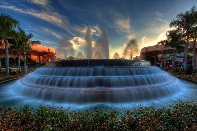 .  . .  ,    Epcot,     ...