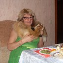 ���� �����, ������ �����, 64 ���� - ��������� 6 ������ 2015 � ������ ������ ��������