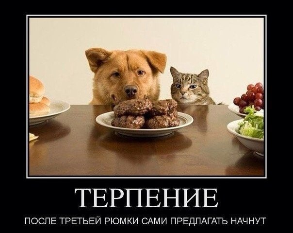    :-) - 14  2015  06:20