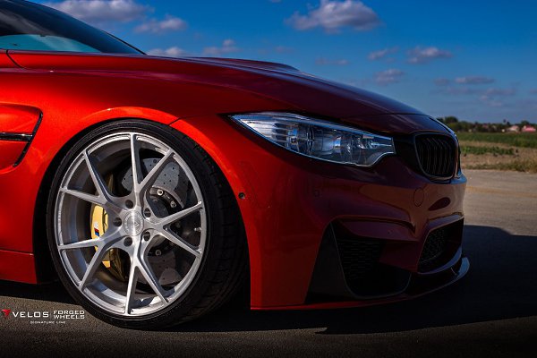 Hamann X6 - 7