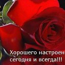���� ����, ����� - ��������� 24 ����� 2015 � ������ �������� ��������