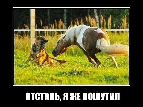 ,  . <a href=