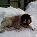  , , 46  -  3  2015   2014