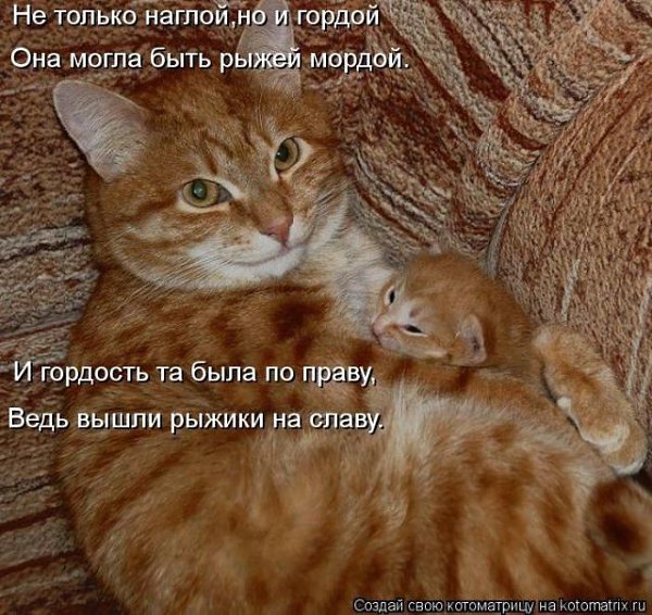 K K - 17  2015  13:31