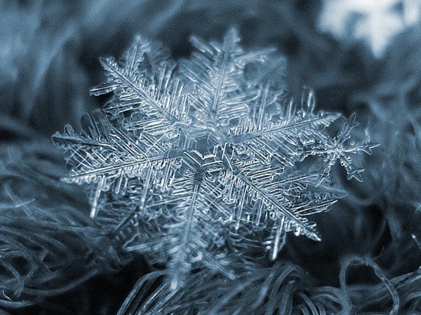 Сколько лучиков у снежинки? У снежинок всегда бывает по 6 лучиков - ни больше, ни меньше. Снежинка ...