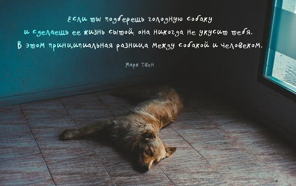   - 29  2015  23:01
