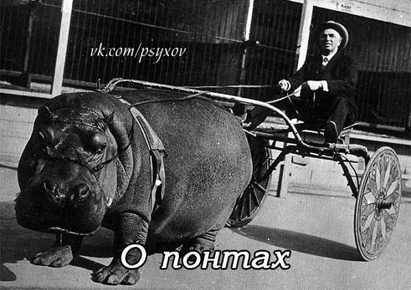 О понтах.Понты первого порядка: купить большую дорогую машину и Ролекс, читать Коэльо, презирать ...