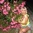 ���� �����, ��������, 56 ��� - ��������� 24 ������� 2015