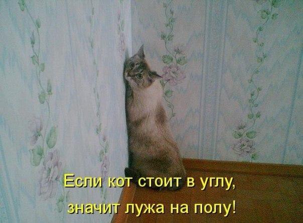  - 2  2015  09:55