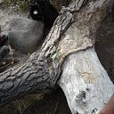 ���� ������, ������, 47 ��� - ��������� 14 ������� 2015