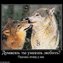 ���� �����, �����-���������, 50 ��� - ��������� 14 ����� 2015 � ������ ������ ��������