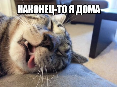 Wow - 20  2015  21:58