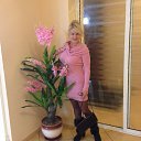 ���� ����, �������� - ��������� 30 ������� 2014 � ������ ���� ����������