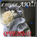 ���� Kolya, ����, 52 ���� - ��������� 10 ������� 2015 � ������ ���� ����������