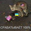 ���� ��, ������������, 50 ��� - ��������� 25 ������� 2014 � ������ ������ ��������