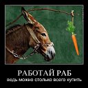 ���� Gela, ������� - ��������� 25 ������� 2014 � ������ ������ ��������