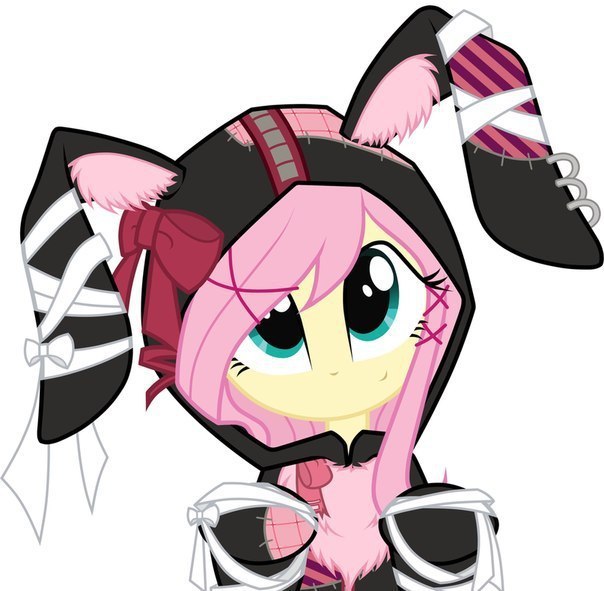 Magic the cookie - 20  2015  21:52