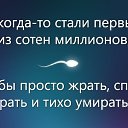 ���� �������, ������, 41 ��� - ��������� 11 ����� 2015 � ������ ������ ��������