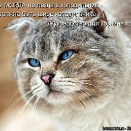 �������, ���, 69 ���