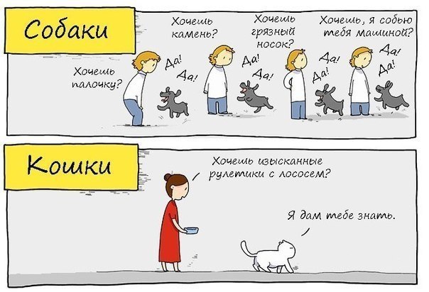       - 1  2015  18:03