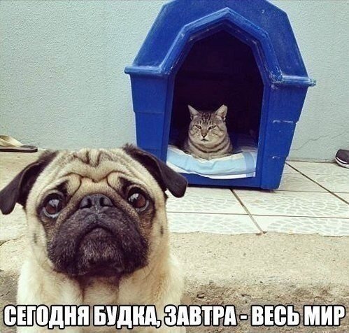    :-) - 25  2015  04:41