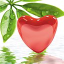  Tatiana,  -  14  2015   Ż