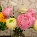 ���� �����, ������ - ��������� 7 ������ 2015 � ������ ������ ��������