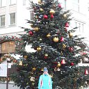 ���� �����, ���������, 54 ���� - ��������� 31 ������� 2014 � ������ ���� ����������