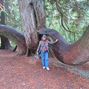 At the Wonder of Nature, the Blarney Castle and Gardens, Cork, Ireland   UK &amp; Ireland