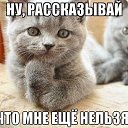 ���� �������, ��������� - ��������� 1 ������� 2015 � ������ �������