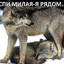 ���� �������, ������, 58 ��� - ��������� 6 ������ 2015 � ������ ���� ����������
