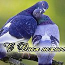 ���� �������� ������������, ������, 70 ��� - ��������� 15 ����� 2015 � ������ �������� ��������