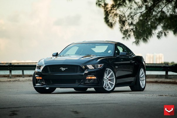 Ford Mustang GT 5.0 - 2