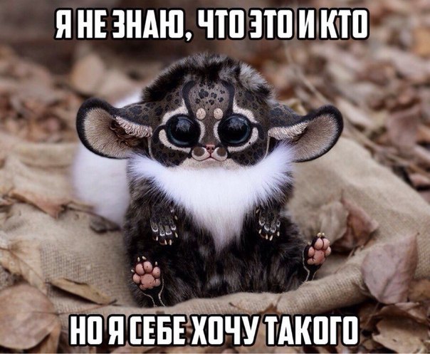    :-) - 20  2015  20:06