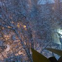 ���� ����, ������, 67 ��� - ��������� 16 ������� 2014 � ������ ���� ����������
