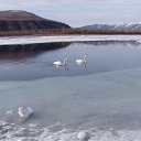 ���� ������, �������, 51 ��� - ��������� 20 ������� 2014 � ������ ���� ����������