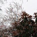  , , 60  -  1  2015   ,29.03.15.  